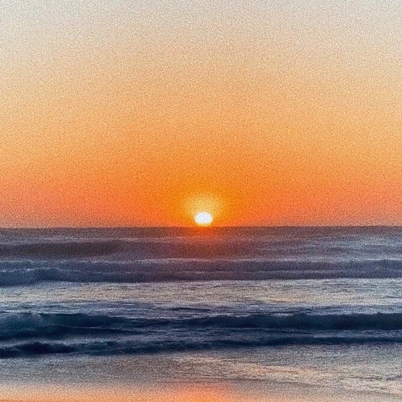 Meet your Posher, Carly - Picture 1 of 1